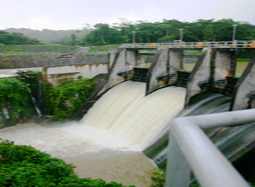 DAM GATES